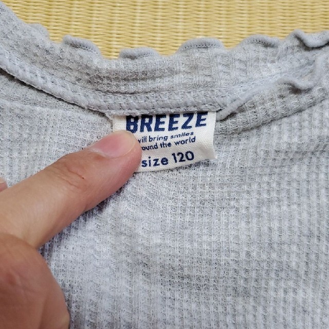 BREEZE(ブリーズ)のBREEZE ブリーズ　キャミソール付きカットソー　120 キッズ/ベビー/マタニティのキッズ服女の子用(90cm~)(Tシャツ/カットソー)の商品写真
