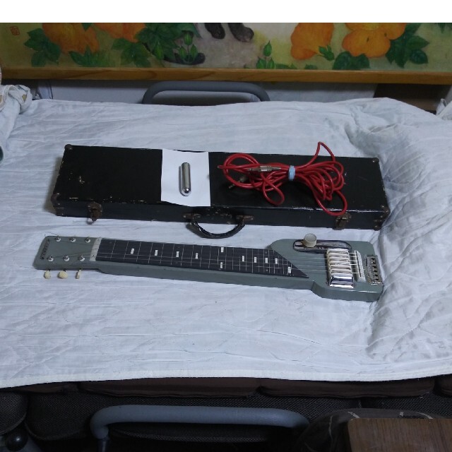 TEISCO スチールギター 楽器の楽器 その他(その他)の商品写真