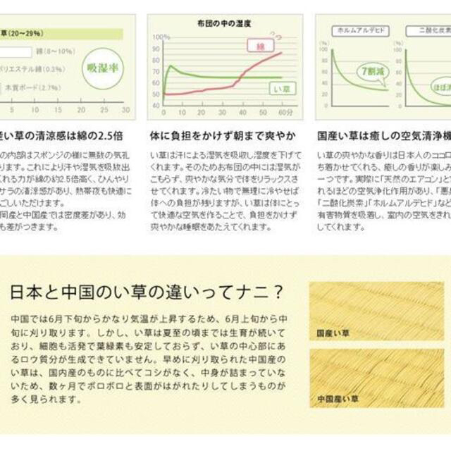 添島勲商店 国産 い草花ござ 掛川織り「津和野」 江戸間3畳 約174×261㎝ 6