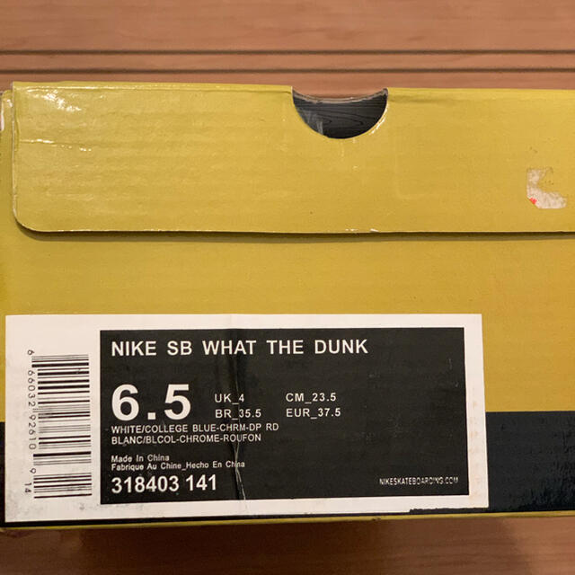 NIKE SB WHAT THE DUNK 6