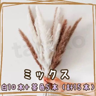 パンパスグラス 白10本 茶色5本 ミックス 15本 セット ドライフラワー(ドライフラワー)