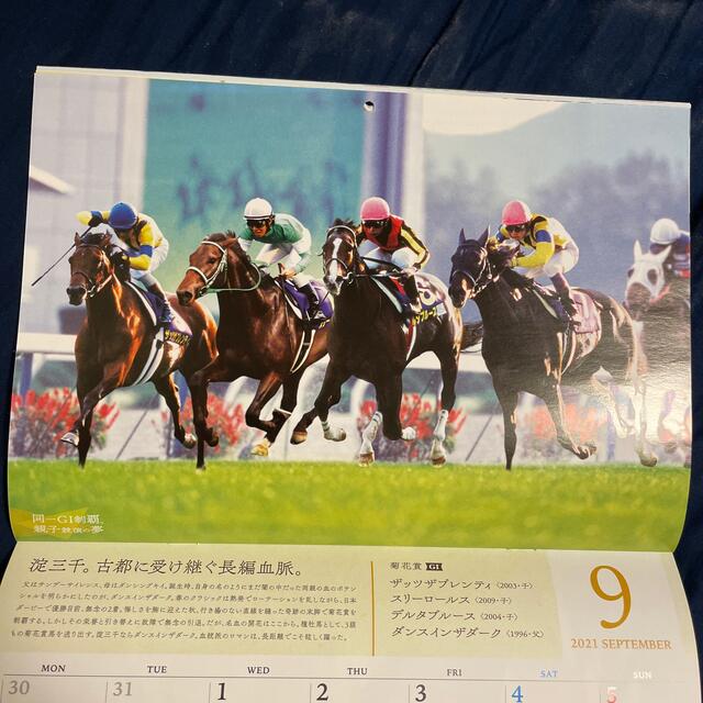 【非売品】JRA2021年カレンダー エンタメ/ホビーのコレクション(ノベルティグッズ)の商品写真