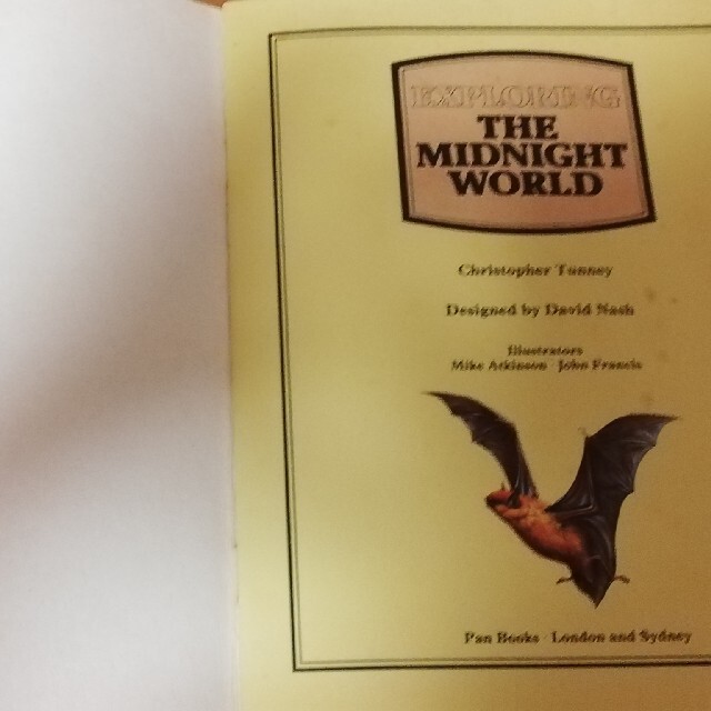 PICCORO EXPLORER BOOK THE MIDNIGHT WORLD エンタメ/ホビーの本(洋書)の商品写真