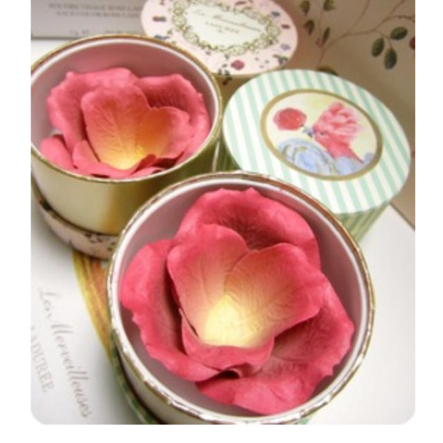 LADUREE(ラデュレ)のラデュレ🌹ローズチーク（ミニ） コスメ/美容のベースメイク/化粧品(その他)の商品写真