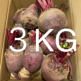 北海道　江別産　無農薬　オーガニック　ビーツ　3kg(野菜)