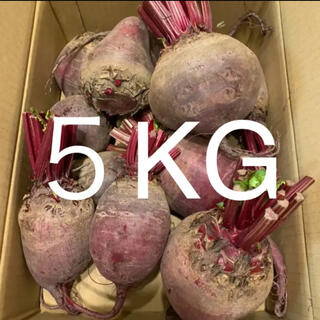 北海道　江別産　無農薬　オーガニック　ビーツ　5kg(野菜)