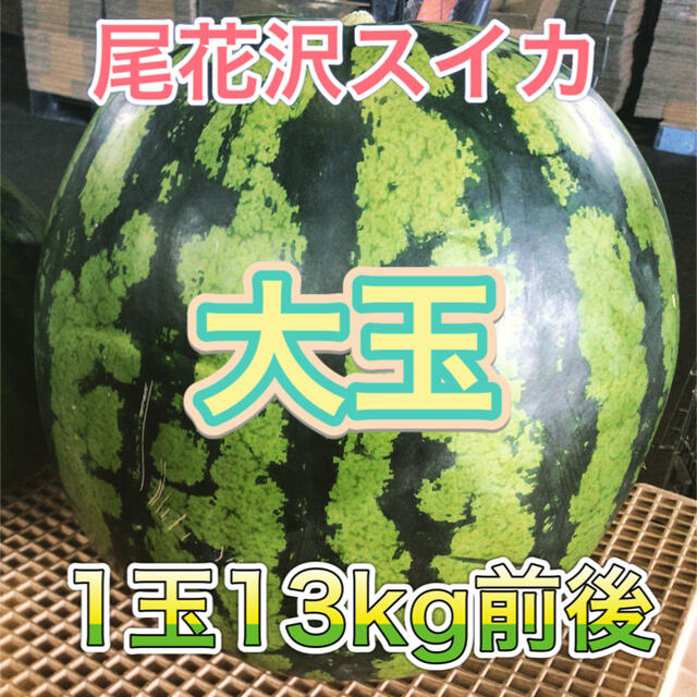 野菜　山形県産☆大玉スイカ　１玉