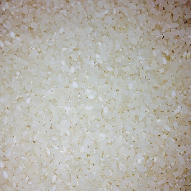 ブレンド玄米　(令和3年産)　　　　24Kg 食品/飲料/酒の食品(米/穀物)の商品写真