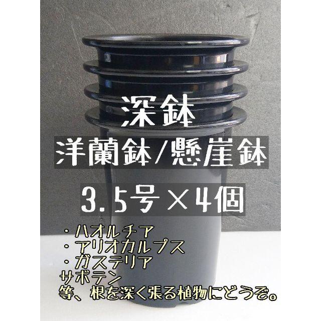 ◎4個◎ 深鉢 3.5号 3.5寸 懸崖鉢 洋蘭鉢 プラ鉢 長鉢 ハオルチア ハンドメイドのフラワー/ガーデン(プランター)の商品写真