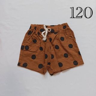 120cm キッズ　ドット　ショートパンツ　ブラウン【356】(パンツ/スパッツ)