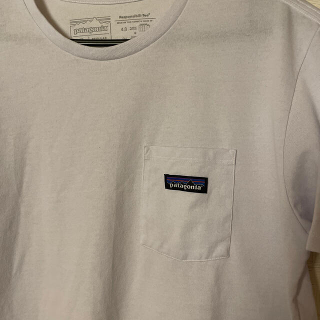 patagonia(パタゴニア)のpatagonia パタゴニア　新作Tシャツ美品です メンズのトップス(Tシャツ/カットソー(半袖/袖なし))の商品写真