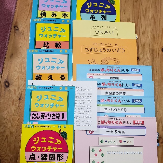 【小学受験】こぐま会・理英会等問題集12冊