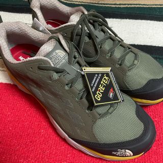 ザノースフェイス(THE NORTH FACE)の【THE NORTH FACE】ゴアテックス　トレッキングシューズ　30cm(スニーカー)