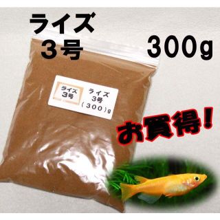 めだか の 餌 エサ◇ライズ３号 ３００ｇ◇メダカ の えさ☆ 愛好家御用達②(アクアリウム)