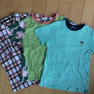 ベベ(BeBe)のBeBe、TINKERBELL、Polo 140センチ(Tシャツ/カットソー)