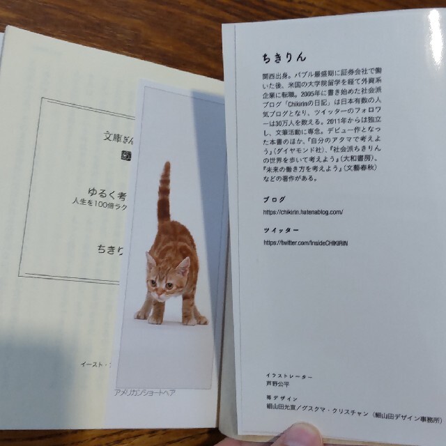 ゆるく考えよう 人生を１００倍ラクにする思考法　ちきりん エンタメ/ホビーの本(文学/小説)の商品写真