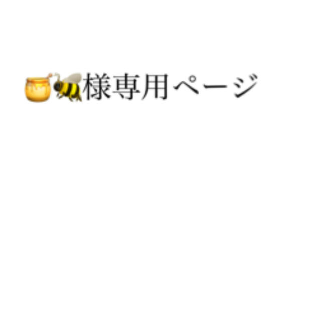 🍯🐝様 専用ページ 完成品 63.0%OFF noxcapital.de