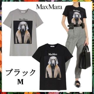 Max Mara - 秋コーデに♪ Max Mara☆ DOGSTAR Tシャツ Black Mの通販