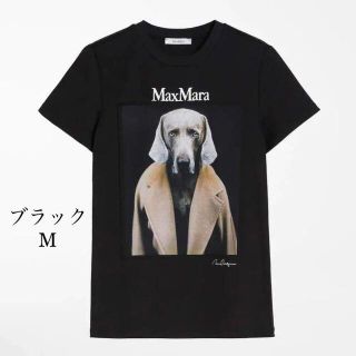 Max Mara - 秋コーデに♪ Max Mara☆ DOGSTAR Tシャツ Black Mの通販