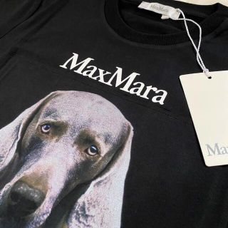 Max Mara - 秋コーデに♪ Max Mara☆ DOGSTAR Tシャツ Black Mの通販