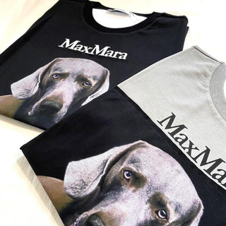 Max Mara - 秋コーデに♪ Max Mara☆ DOGSTAR Tシャツ Black Mの通販