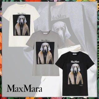 Max Mara - 秋コーデに♪ Max Mara☆ DOGSTAR Tシャツ Black Mの通販