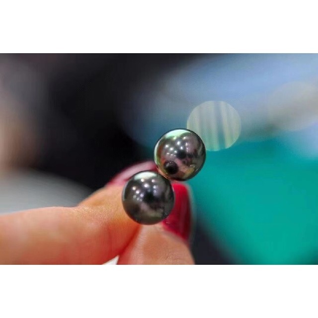 欲しいの 【任意一ペア】天然タヒチ黒蝶真珠 シンプルピアス10-11mm ...