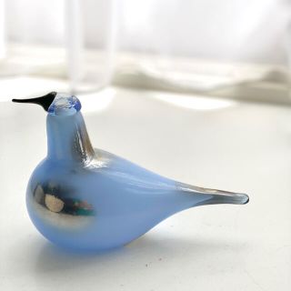 イッタラ(iittala)のイッタラ  バード　スカイカールー　オイバトイッカ　ブルー(置物)