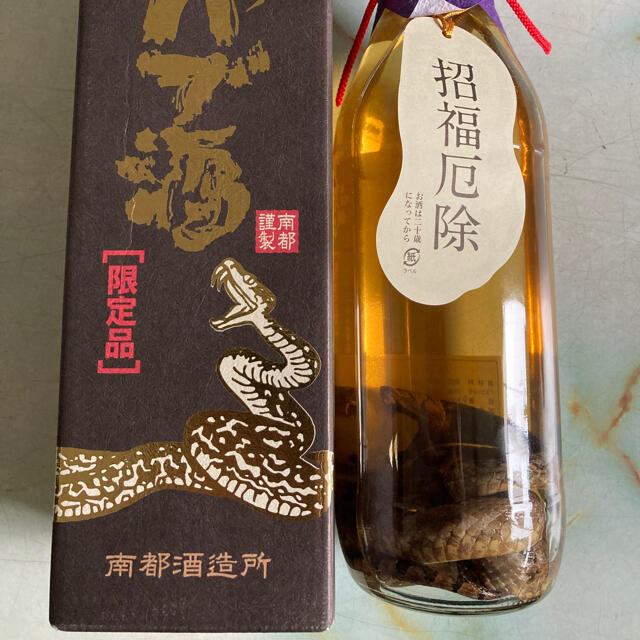 限定品】ハブ酒 琉球 泡盛 南都酒造所 - その他