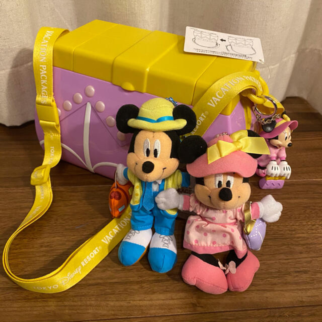 Disney(ディズニー)のディズニー　バケーションパッケージ　グッズ エンタメ/ホビーのおもちゃ/ぬいぐるみ(キャラクターグッズ)の商品写真