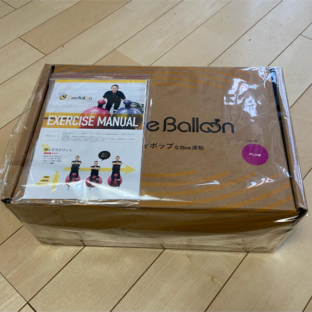 Bee Balloon PULM 新品、未使用　バランスボール