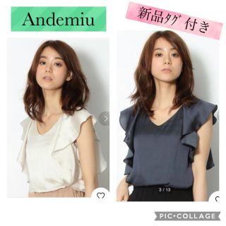 アンデミュウ(Andemiu)のAndemiu◆フリル袖カットソー◆ブージュルード◆ロペピクニック◆ココディール(シャツ/ブラウス(半袖/袖なし))