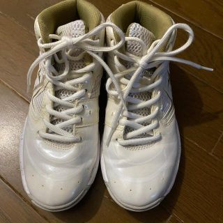 ミズノ(MIZUNO)のMIZUNO　ウエーブダイバース(スニーカー)