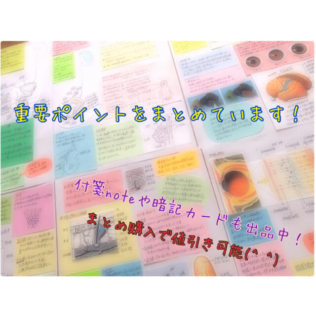 まとめ価格‼︎ 看護師国家試験対策 大量付箋 暗記カード 解剖生理学 付箋ノート