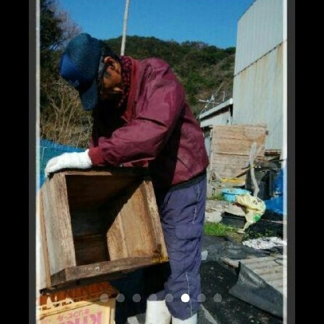 日本ミツバチの蜂蜜  1300g   570×2本  160×1本     食品/飲料/酒の食品(その他)の商品写真