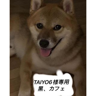 TAIYO6様専用(キャップ)