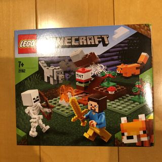 レゴ(Lego)のレゴ　マインクラフト21162(その他)