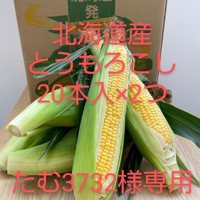 北海道産とうもろこし【20本入】×2つ　食品