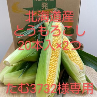 北海道産とうもろこし【20本入】×2つ(野菜)