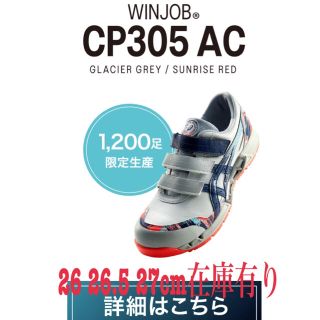 アシックス(asics)のアシックス安全靴　ウィンジョブ　CP305 限定カラー(その他)