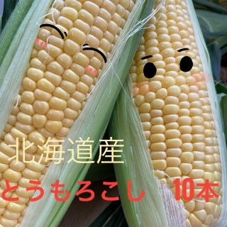 北海道産とうもろこし【10本入】(野菜)