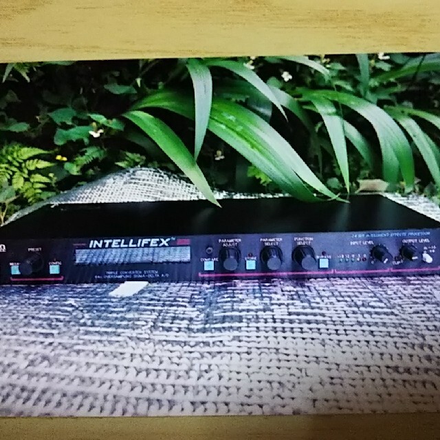 組み合わせ自由自在 Rocktron Intellifex 24bit Effect プロセッサー