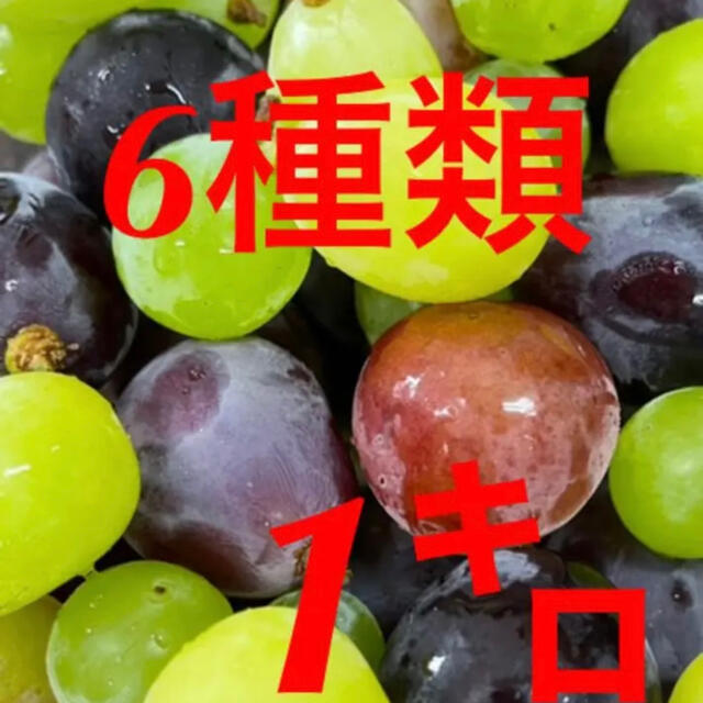 山梨県産朝採れぶどう粒食べ比べセット 食品/飲料/酒の食品(フルーツ)の商品写真