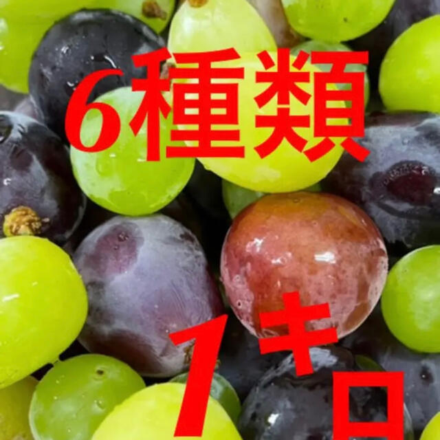 山梨県産朝採れぶどう粒食べ比べセット 食品/飲料/酒の食品(フルーツ)の商品写真