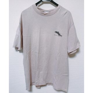 ヘインズ(Hanes)の【古着】Hanes BEEFY 半袖Tシャツ ヘインズ ビーフィ　イルカ(Tシャツ/カットソー(半袖/袖なし))