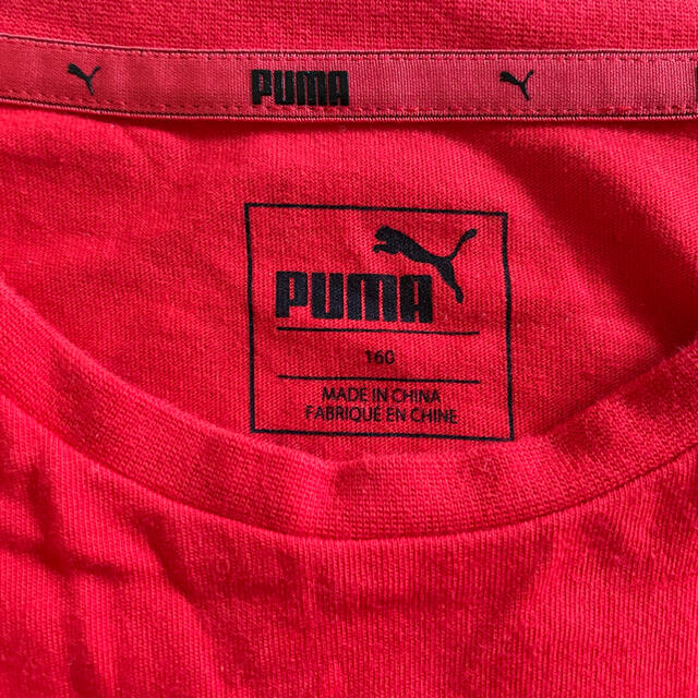 PUMA(プーマ)のPUMA 中古美品半袖Tシャツ　size160 キッズ/ベビー/マタニティのキッズ服男の子用(90cm~)(Tシャツ/カットソー)の商品写真