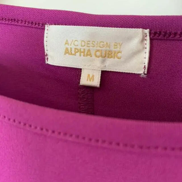 ALPHA CUBIC(アルファキュービック)のアルファキュービック　袖なしトップ　未着用 レディースのトップス(シャツ/ブラウス(半袖/袖なし))の商品写真