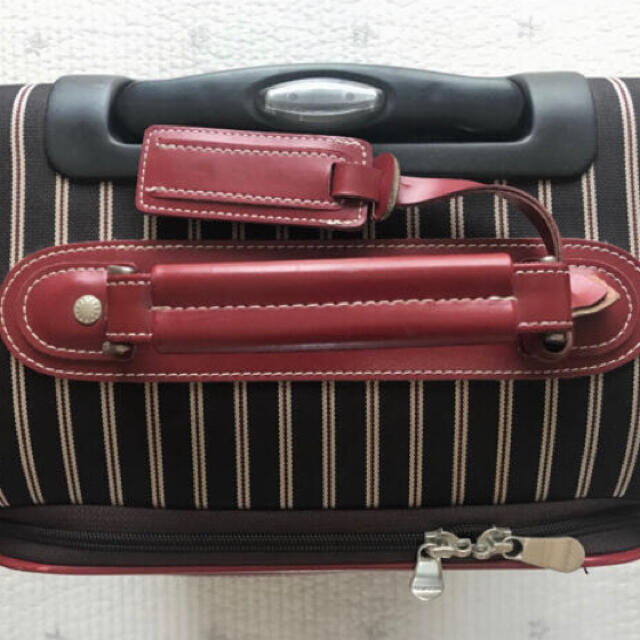 小型キャリーバッグ レディースのバッグ(スーツケース/キャリーバッグ)の商品写真