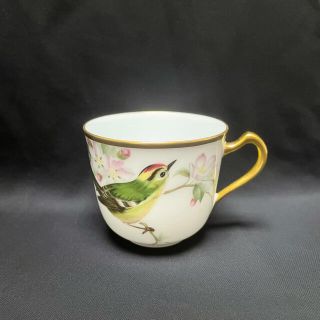 オオクラトウエン(大倉陶園)の大倉陶園　野鳥シリーズ　カップのみ(グラス/カップ)