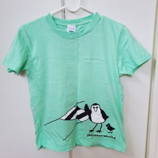 SHOP HAKOGAME シロハラクイナ　Tシャツ(Tシャツ(半袖/袖なし))